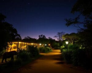 Nachtsafari: Zoos nach Sonnenuntergang