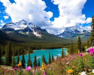 Naturwunder im Jasper Nationalpark, Kanada