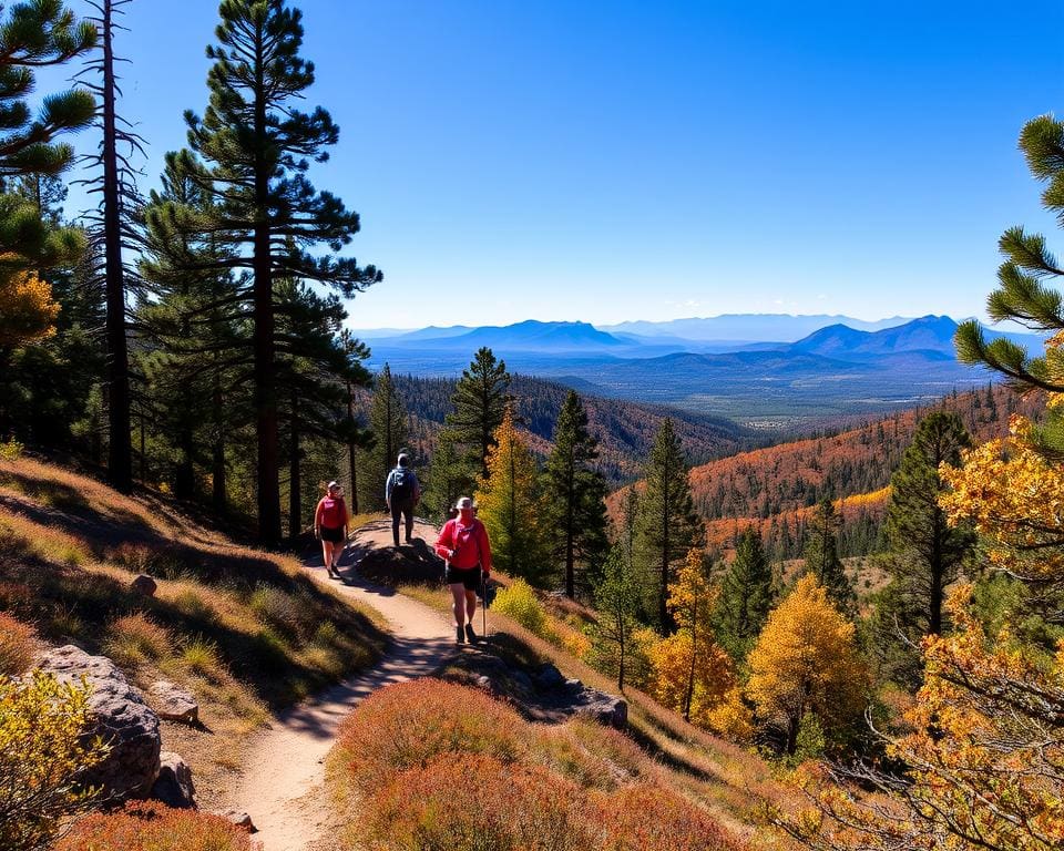 Wanderungen im Coconino National Forest