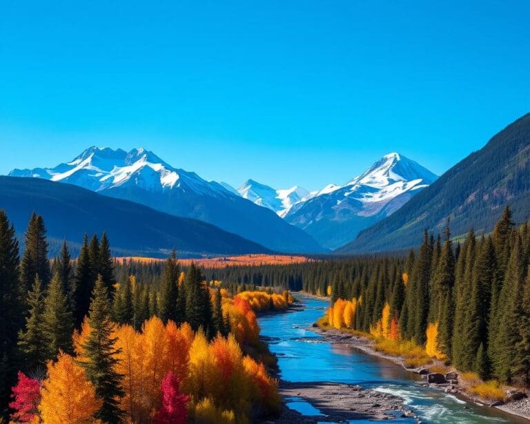 Wildnisexpeditionen im Yukon-Territorium, Kanada