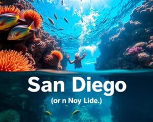 San Diego: Welche Strände sind perfekt zum Schnorcheln?