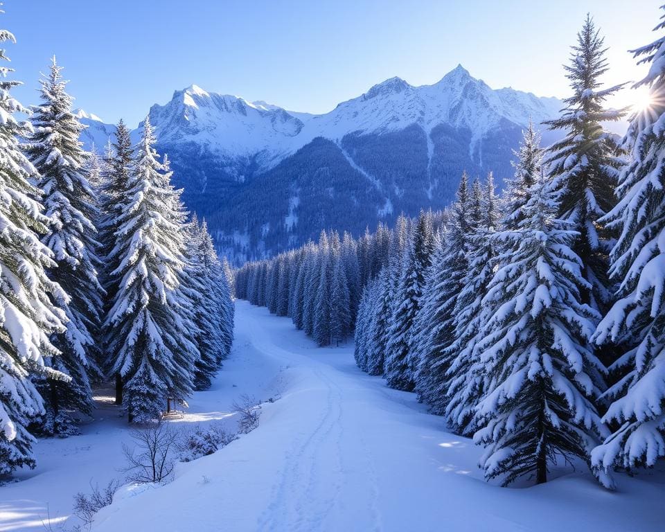 Schneewanderungen in den Alpen