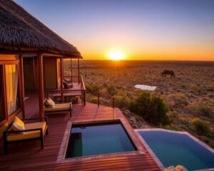 Etosha National Park: Alles über Lodges & Unterkünfte