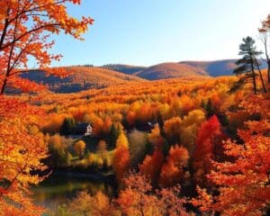 Woodstock: Wo erlebst du die besten Herbstfarben?