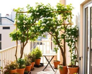 Kann ich Spalierbäume auch auf dem Balkon pflanzen?