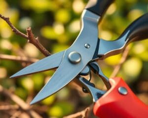 Was macht eine gute Gartenschere aus?