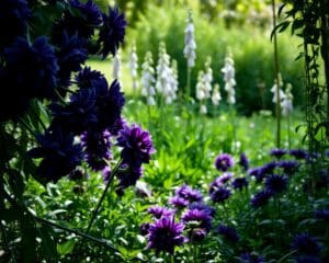 Welche Blumenzwiebeln lieben Schatten?