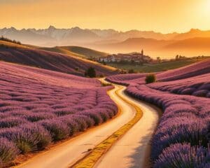 Was macht die Provence so einzigartig?