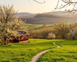 Wie planst du eine Reise im Fruehling?